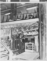 Photograph of airplanes being built by Howard Hughes and workers, circa 1943