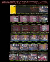 Photographs of AFL-CIO rally at Cashman Field, Culinary Union, Las Vegas (Nev.), 1991 February 24 (folder 1 of 1)