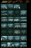 Photographs of MGM picket lines, Culinary Union, Las Vegas (Nev.), 1993 (folder 1 of 1)