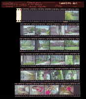 Photographs of National Jewish Hospital exterior, Culinary Union, Denver (Colo.), 1990s (folder 1 of 1)