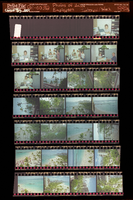Photographs of union employees, Culinary Union, Las Vegas (Nev.), 1990s (folder 1 of 1)