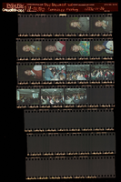 Photographs of Shop Steward and committee meeting, Culinary Union, Las Vegas (Nev.), 2006 January 26 (folder 1 of 1)