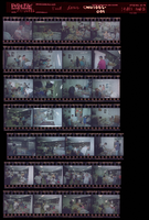 Photographs of Food drive, Culinary Union, Las Vegas (Nev.), 1990s (folder 1 of 1)