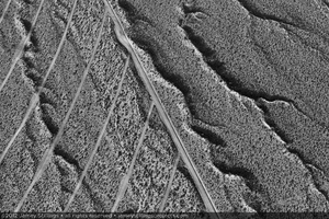 Photograph of natural erosion gullies of alluvial slope overlap with boundary and service roads of Unit 2, January 6, 2012