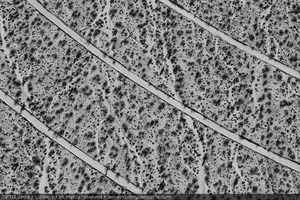 Photograph of detail of concentric service roads in Unit 3, June 2, 2012