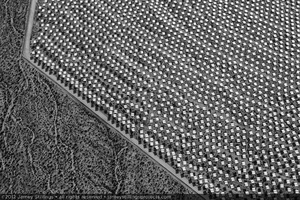 Photograph of heliostats near project boundary of Unit 1, June 2, 2012