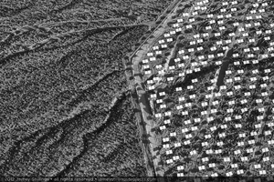 Photograph of installed heliostats at boundary of Unit 1 solar field, January 6, 2012