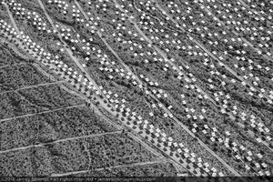 Photograph of installed heliostats of Unit 2 solar field adjacent to Unit 3 solar field without heliostats, October 27, 2012