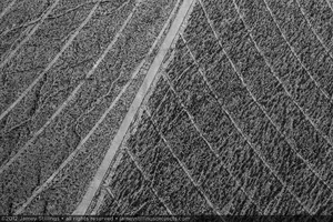 Photograph of service roads and boundary between Unit 2 and 3 solar fields, April 11, 2012