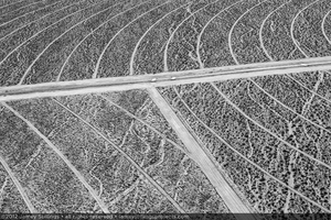 Photograph of roads and service roads between Units 2 and 3 solar fields, June 2, 2012