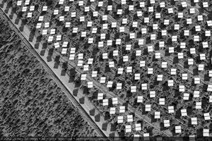 Photograph of heliostats near project boundary of Unit 1, June 2, 2012