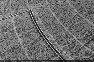 Photograph of shadows of installed pylons and construction ditch, June 5, 2012