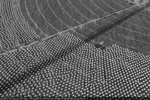 Photograph of heliostat installation, Unit 1, June 5, 2012