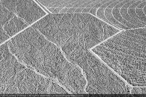 Photograph of heliostats at northern boundary of Unit 3, September 5, 2013