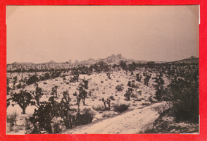 Aerial view of a portion of the ranch property at Walking Box Ranch, Nevada: photographic print