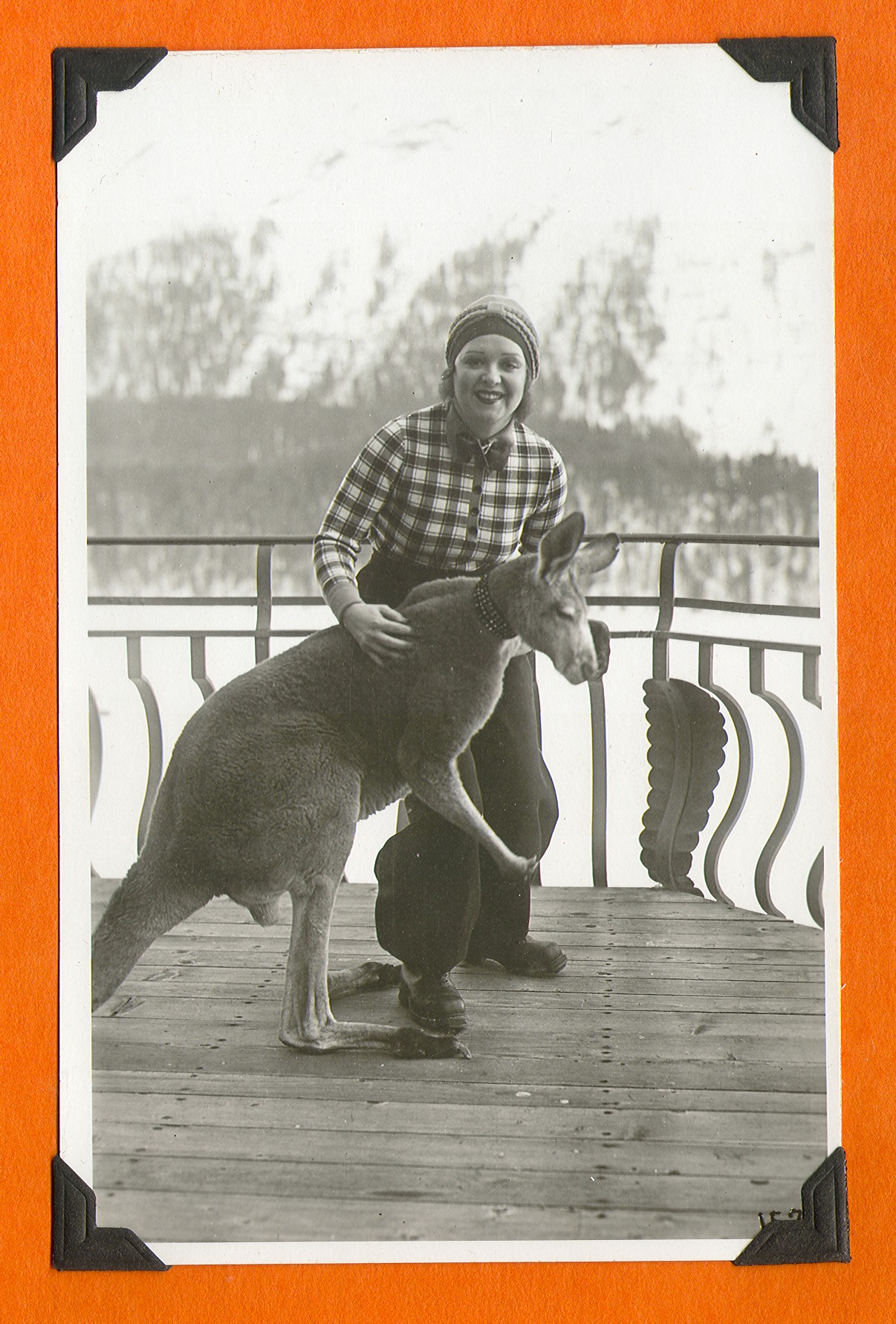 Clara Bow Bell with a kangaroo on the ship during her honeymoon: photographic print