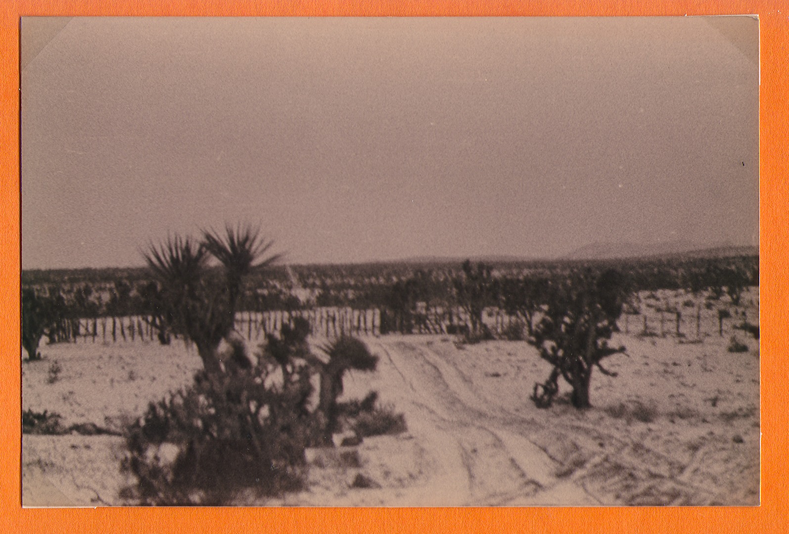 Walking Box Ranch, Nevada: photographic print