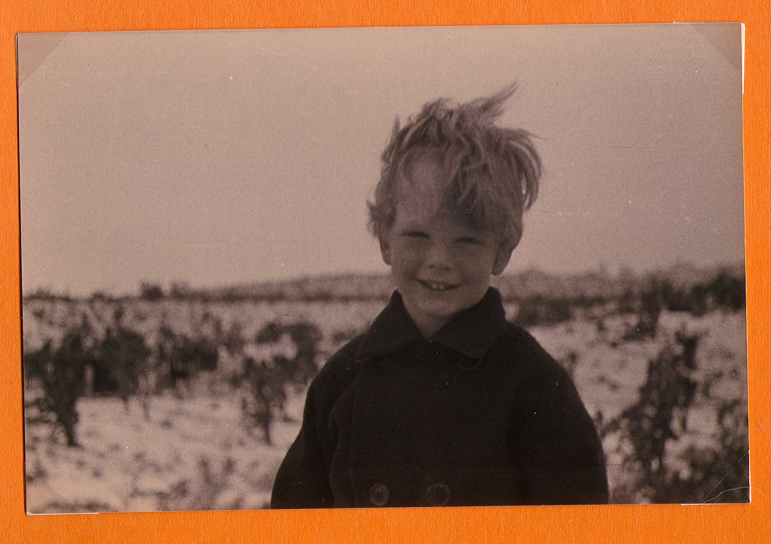 Rex Bell Jr. at Walking Box Ranch, Nevada: photographic print