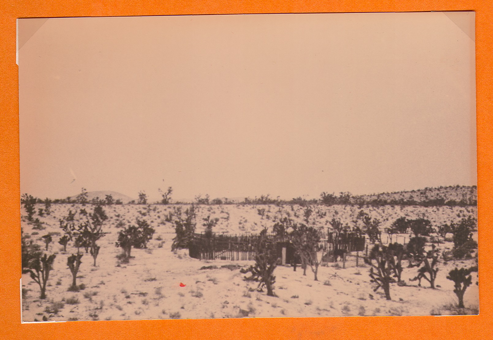 Walking Box Ranch, Nevada: photographic print