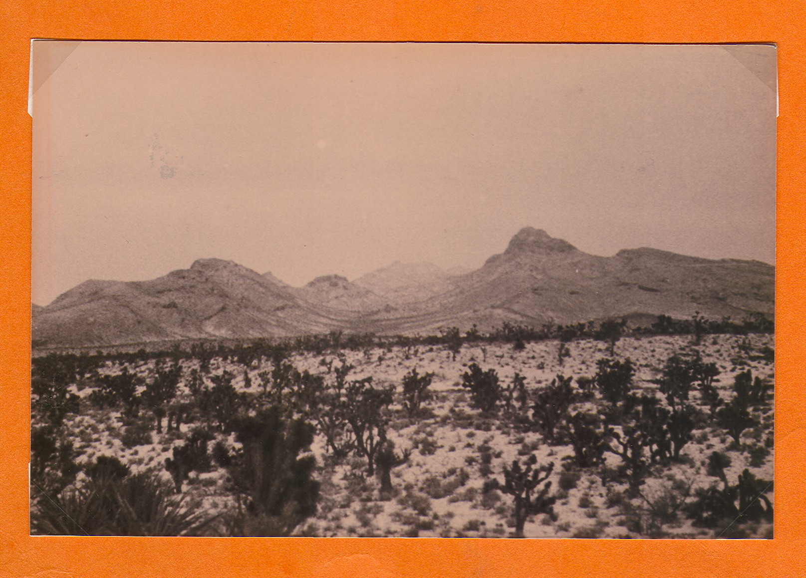 Aerial view of ranch property and mountains in distance in the Mojave Desert: photographic print