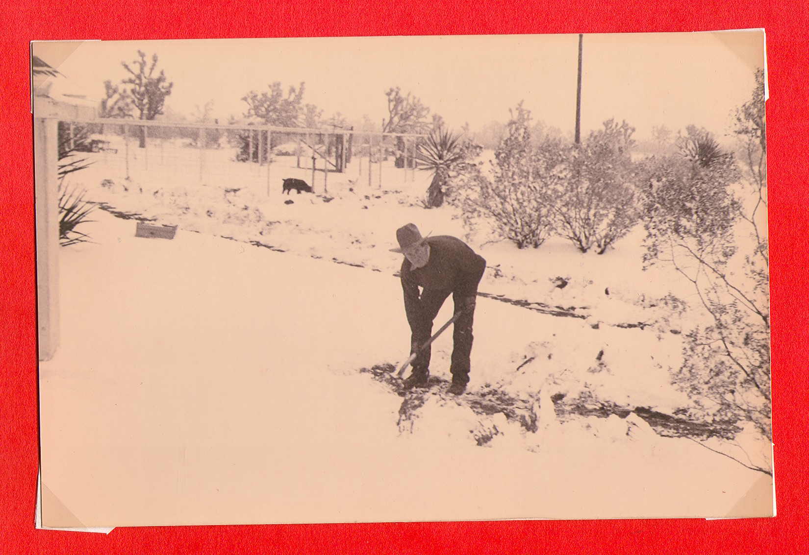 Unidentified person at Walking Box Ranch, Nevada: photographic print