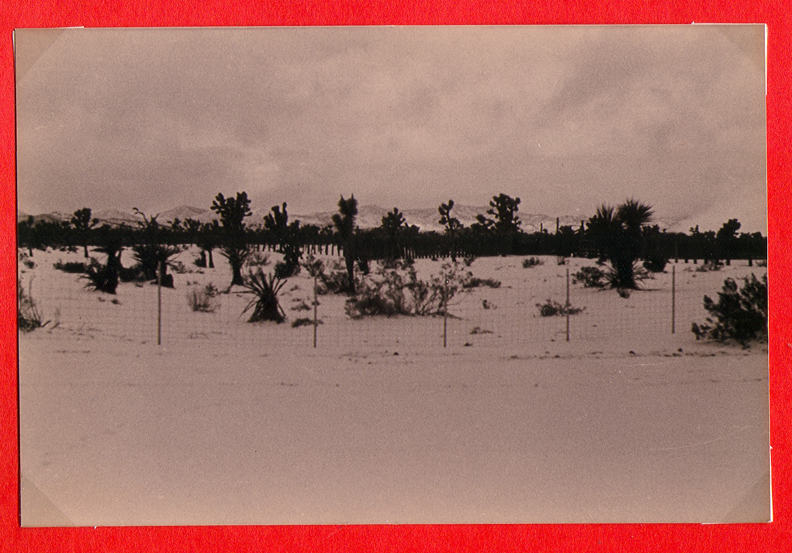 Snowy view of the ranch property-desert view