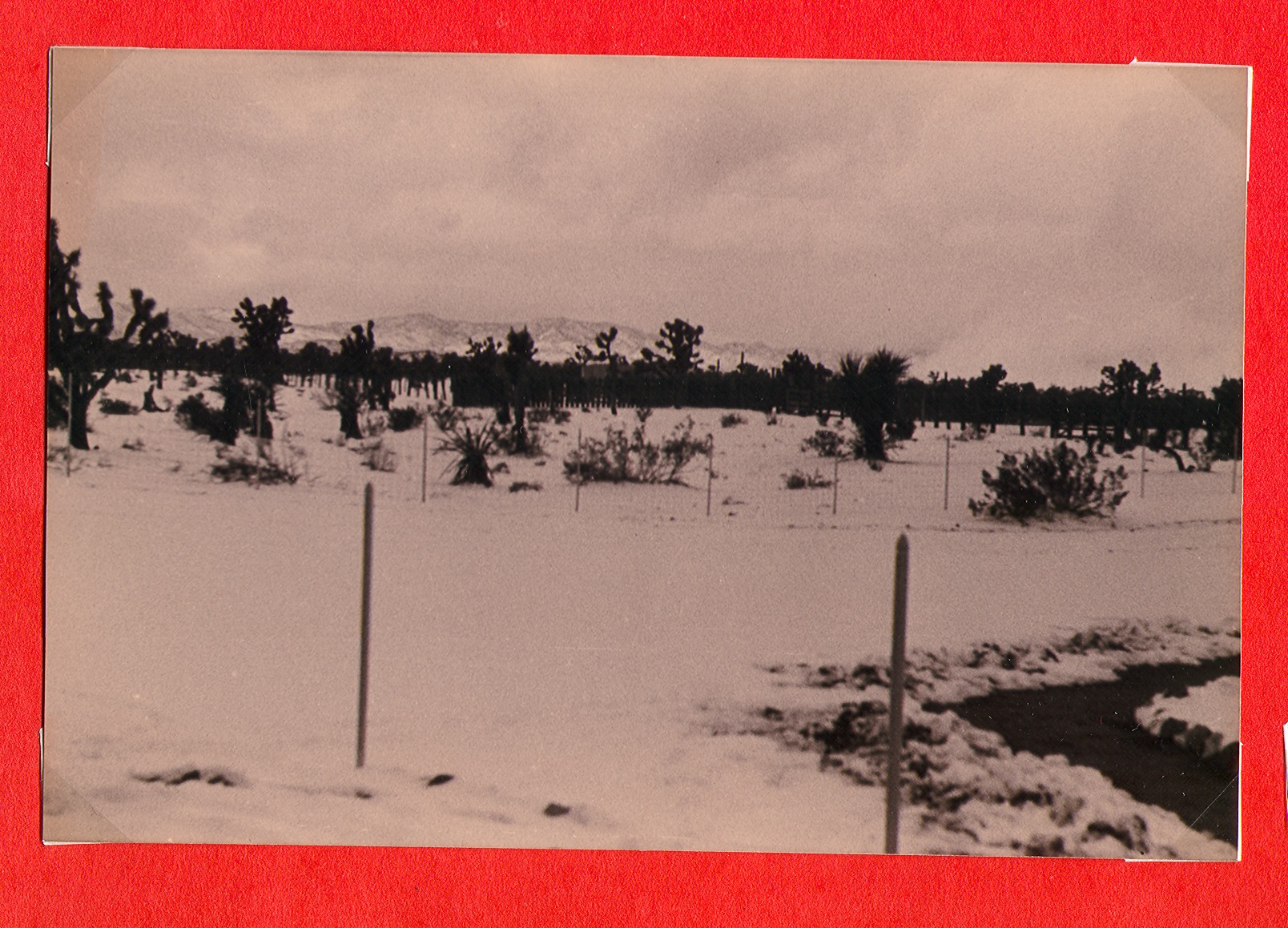 Snowy desert scene at Walking Box Ranch, Nevada: photographic print