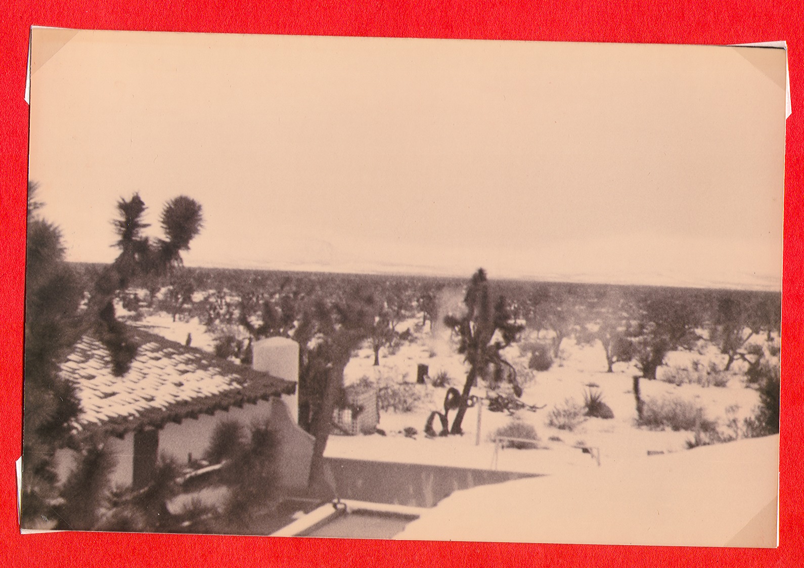 Snowy scene showing rooftops of buildings on Walking Box Ranch, Nevada: photographic print