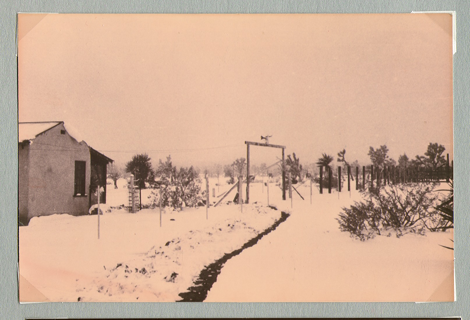 Walking Box Ranch, Nevada: photographic print