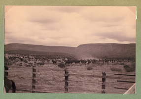 Fence on the ranch-horses beyond