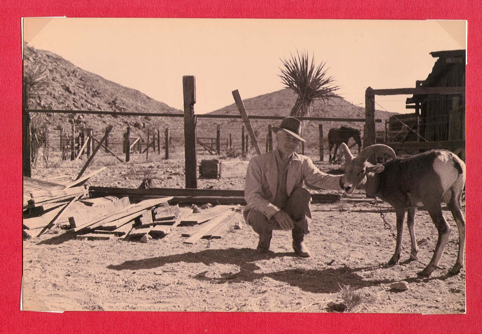 Similar to above: photographic print