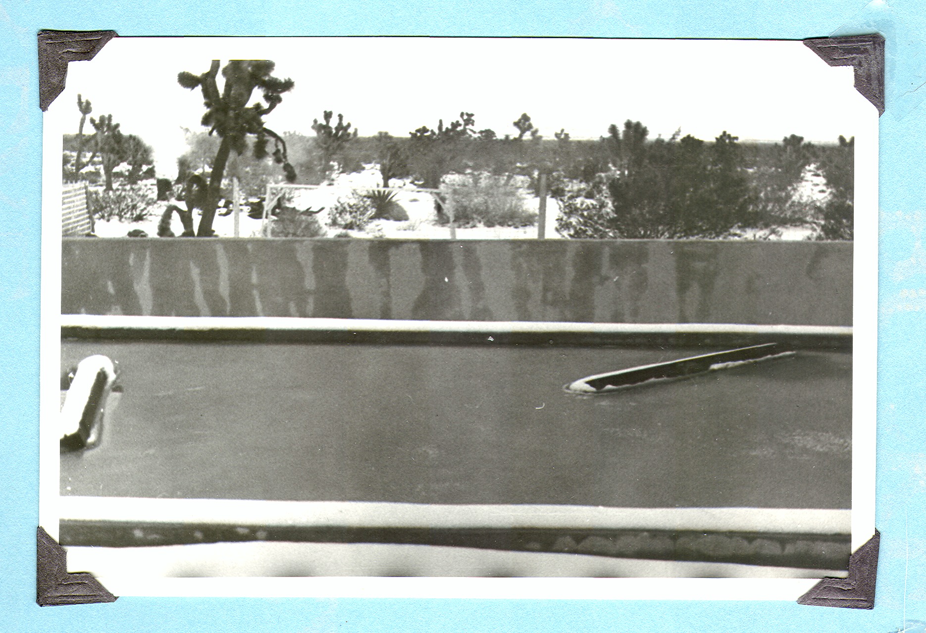 View in back yard of ranch: photographic print