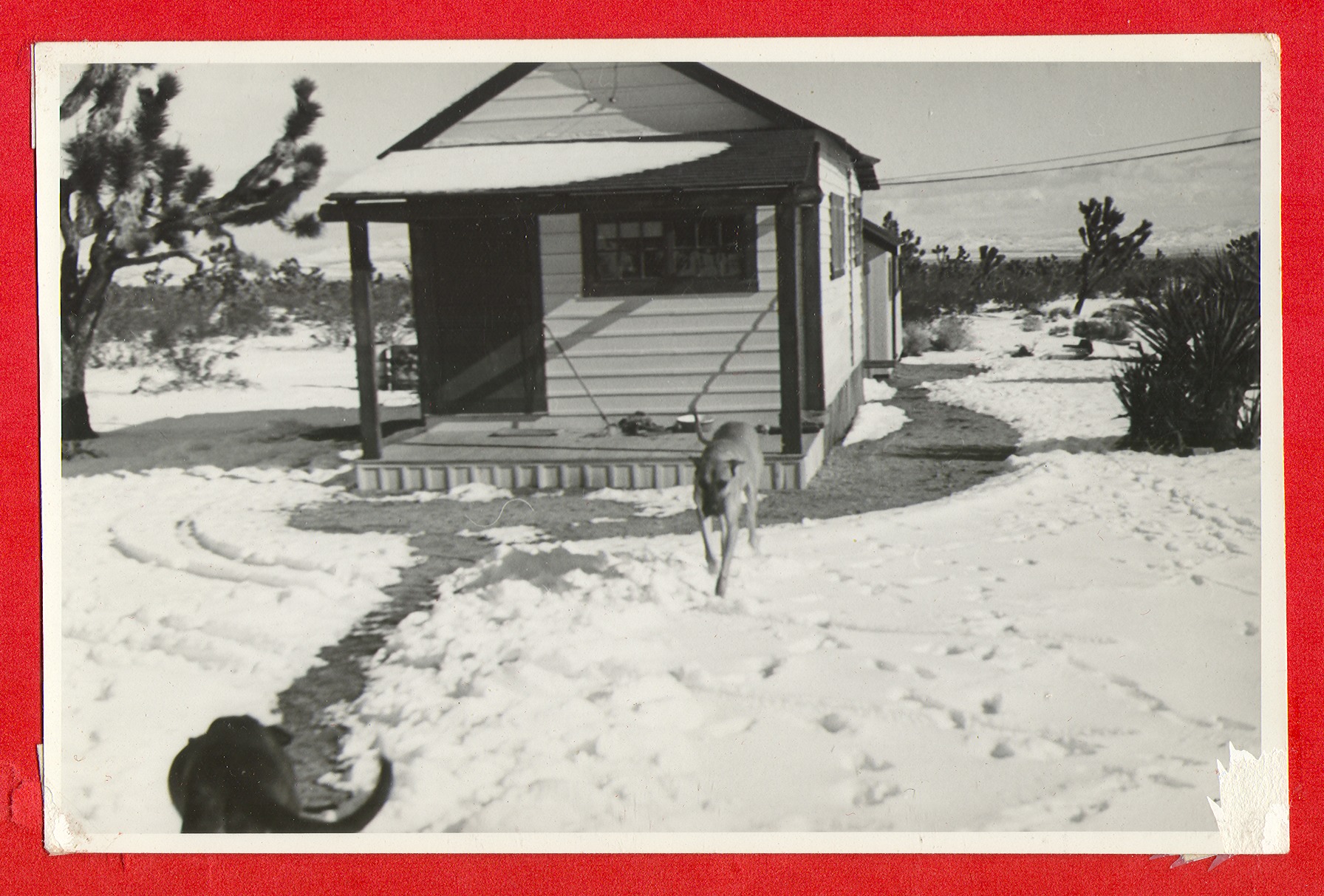 View of Nick's house at the ranch. He was one of the maintenance men: photographic print