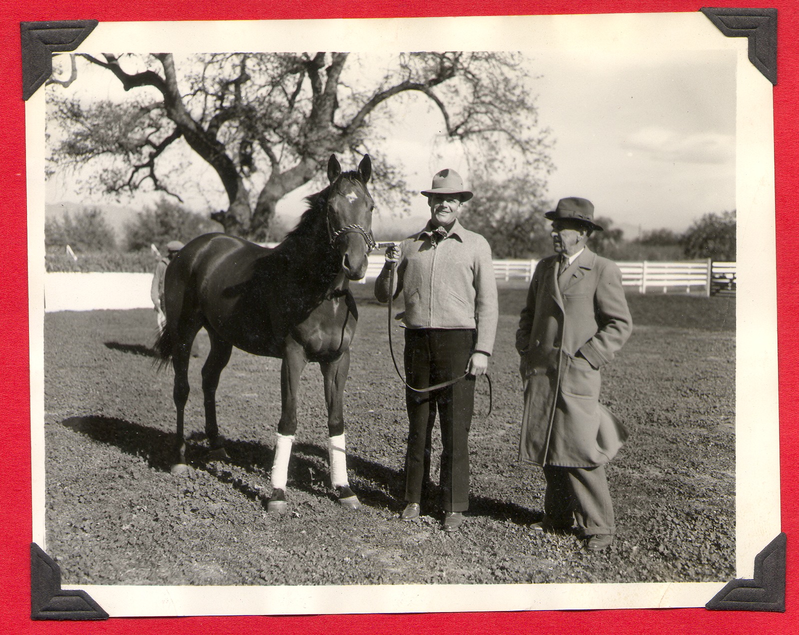 Two men with Rex Bell's race horse: photographic print