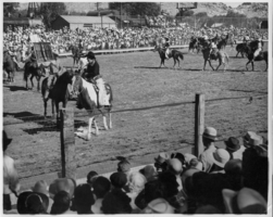 Rex Bell (George Francis Beldam) on horseback in a rodeo.  Rex is located on the painted horse, left of center with a dark shirt and hat