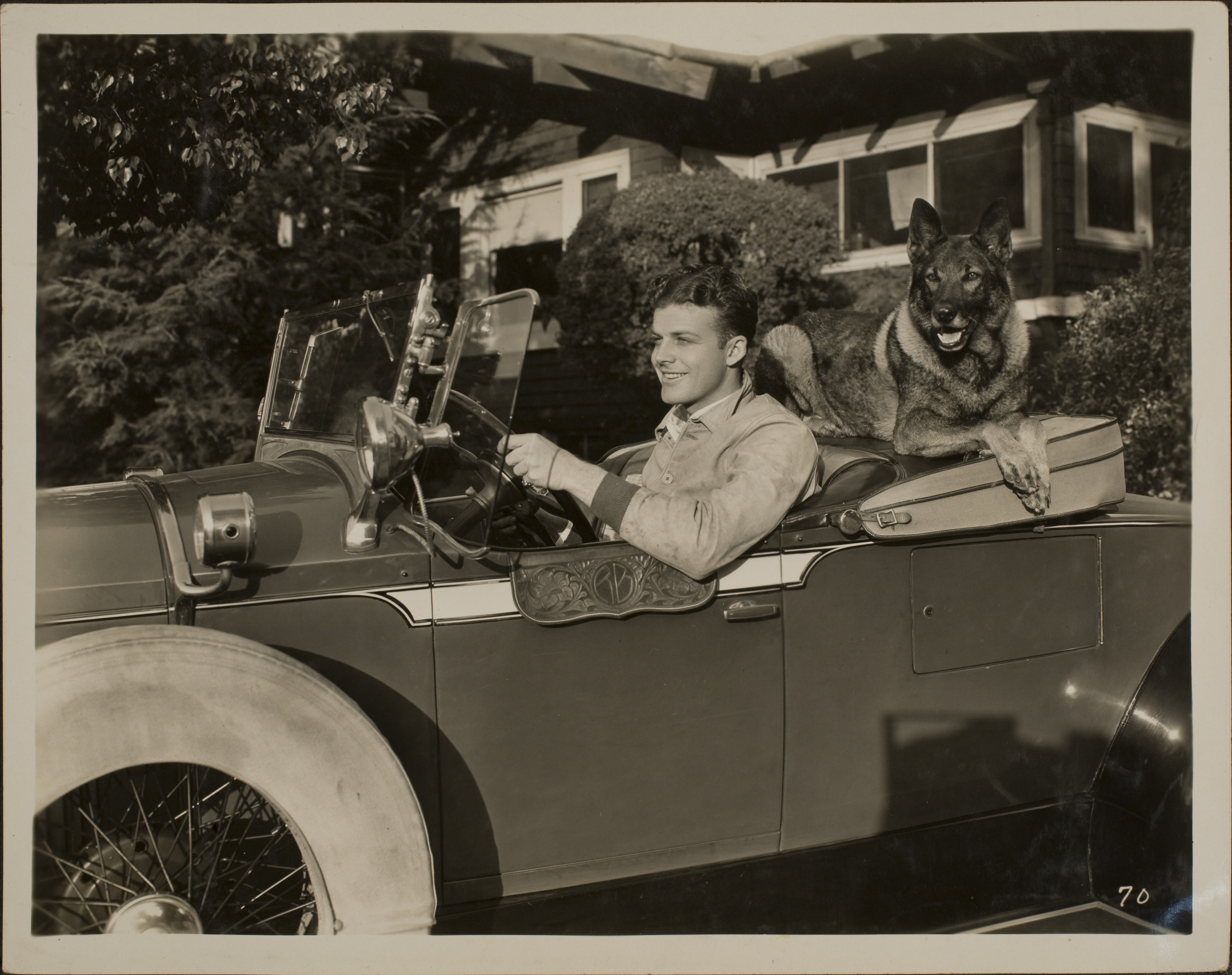 Rex Bell (George Francis Beldam) and German Shepherd (Boco) in a car: photographic print