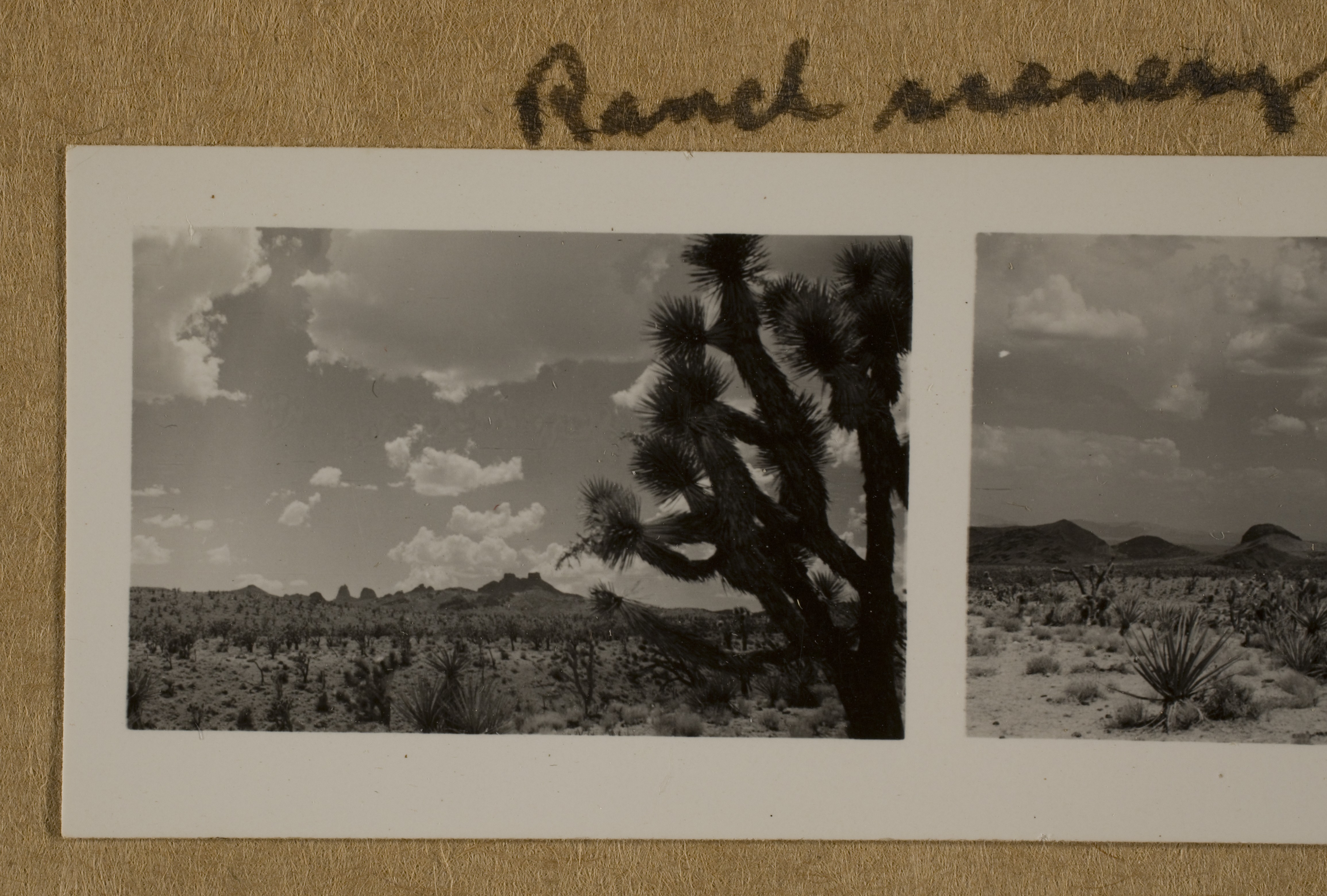 View of Mojave Desert near Walking Box Ranch, Nevada: photographic print