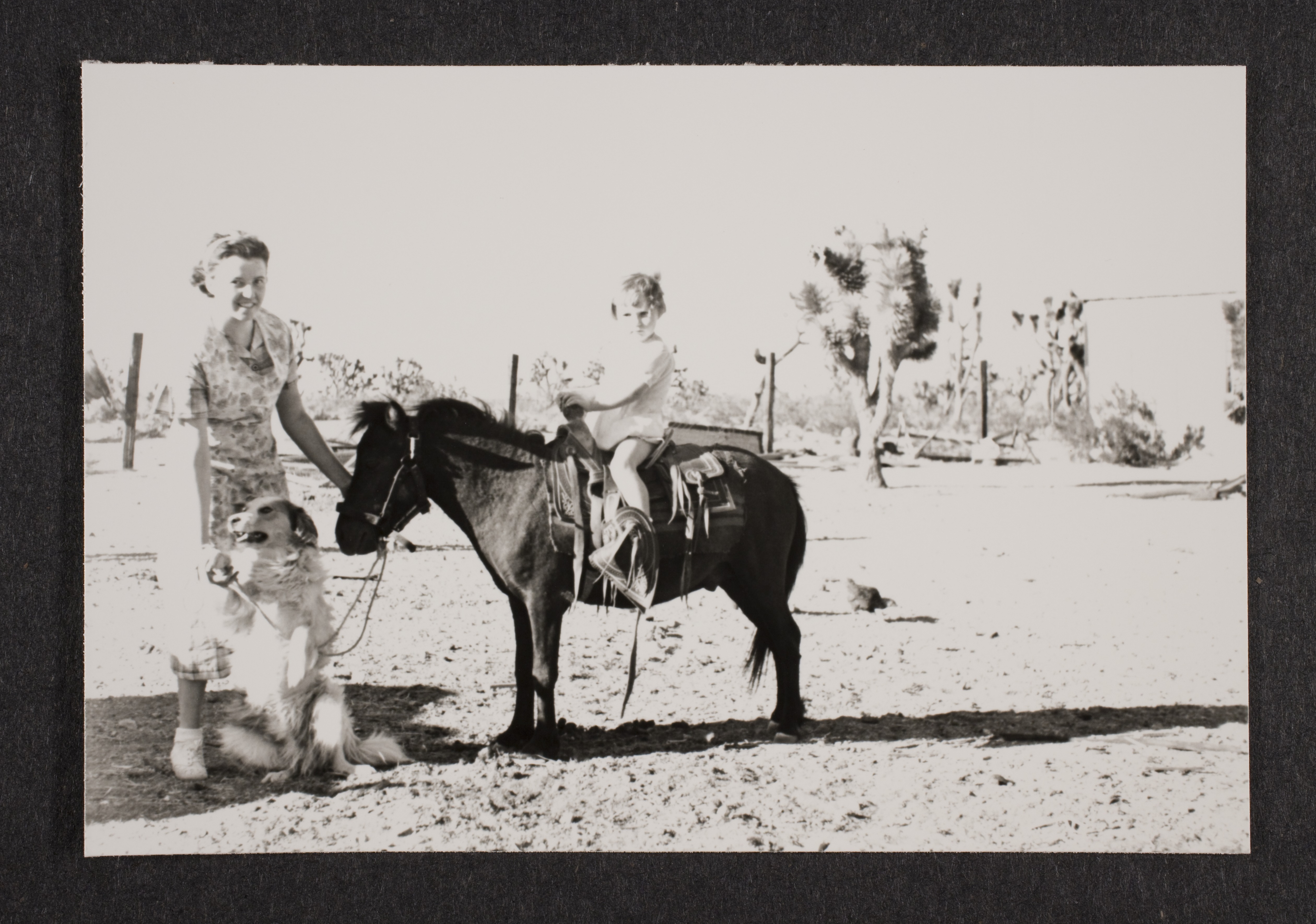 Unidentified woman with dog and  on Smokey the pony at Walking Box Ranch, Nevada: photographic print