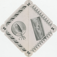 Avenue Hotel Company, menu, July 21, 1881