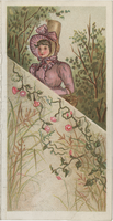 The Northern menu, Sunday, October 28, 1883