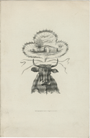 Transit House dinner menu, November 29, 1883