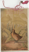 Thanksgiving dinner menu, 1884, St. Nicholas Hotel