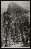 Photograph of Mt. Charleston, Nevada, circa 1930s-1950s