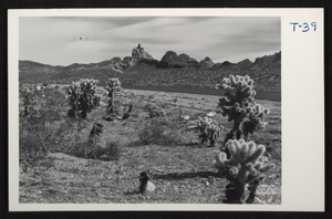 Postcard showing Boulder Highway between Boulder City, Nevada, and Kingman, Arizona, circa 1935