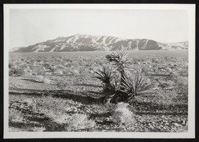 Photograph of desert and mountains in the Southwest United States, circa 1930s-1950s