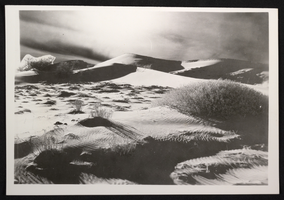 Photograph of desert sand dunes in the Southwest United States, circa 1930s-1950s