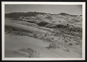 Photograph of desert sand dunes and brush in the Southwest United States, circa 1930s-1950s