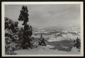 Photograph of snow in the Grand Canyon, circa 1930s-1940s