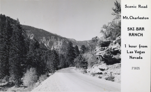 Postcard showing a road at Mount Charleston, Nevada, circa 1920s-1950s