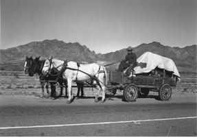Photograph of a man on a mule-drawn cart, circa late 1930s